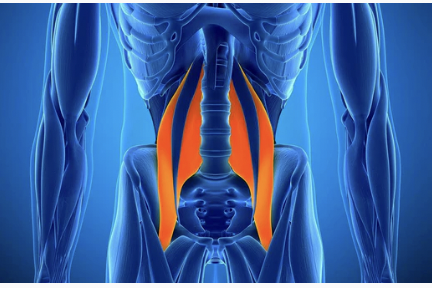 acupressure points, trigger points, reflexology, reflexology chart