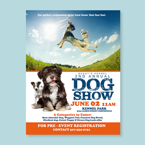 A brightly printed short run poster featuring an annual dog show.