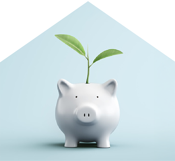 White porcelain piggy bank with a small green plant gorwing out of the top.