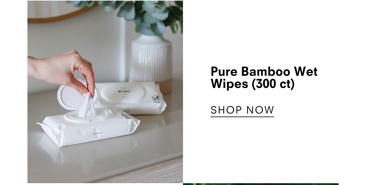Pure Bamboo Wet Wipes (300 ct)