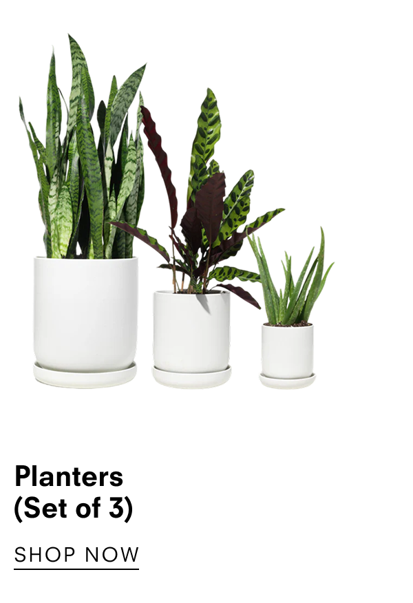 Planters (Set of 3)