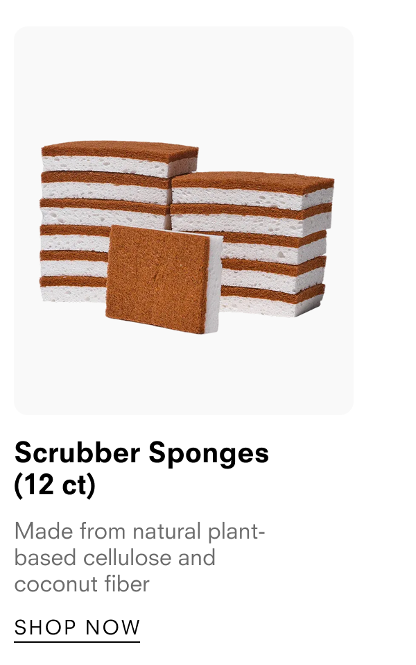 Scrubber Sponges (12 ct)