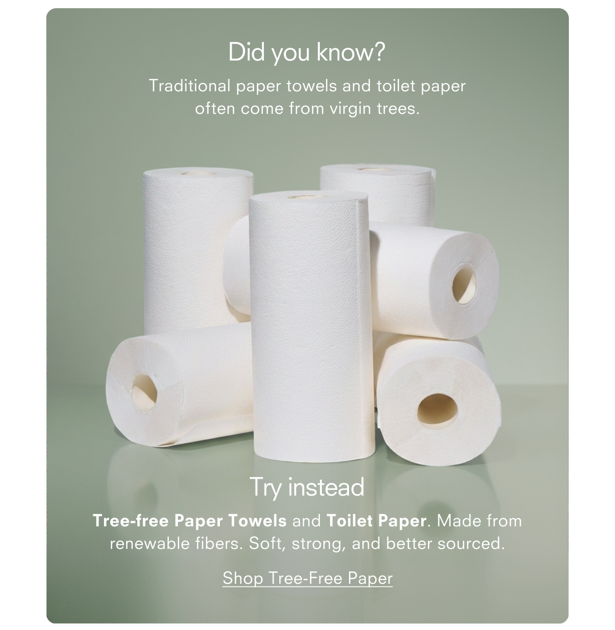 Did you know? Traditional paper towels and toilet paper often come from virgin trees. Try instead Tree-free Paper Towels and Toilet Paper. Made from renewable fibers. Soft, strong, and better sourced. Shop Tree-Free Paper