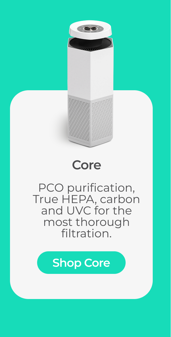 Core Air Purifier + HEPA