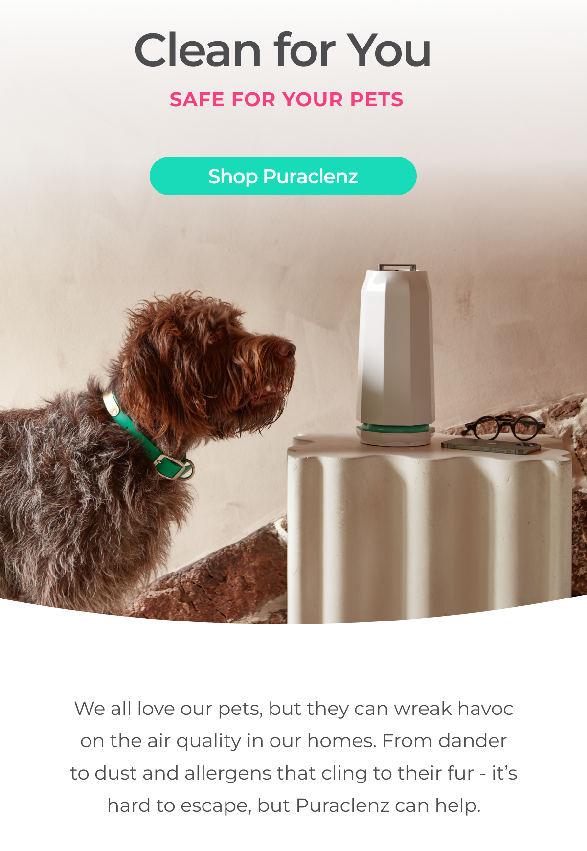 Puraclenz and Pets are a Perfect Pair