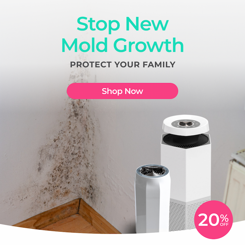 Stop New Mold Growth and Protect Your Family