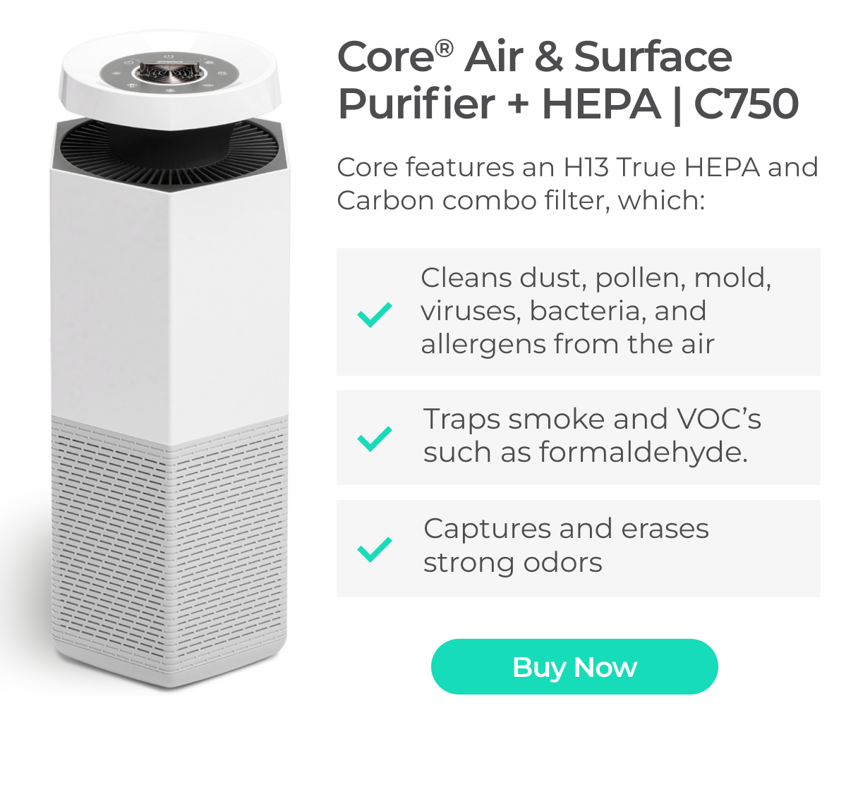 Core Air and Surface Purifier + HEPA
