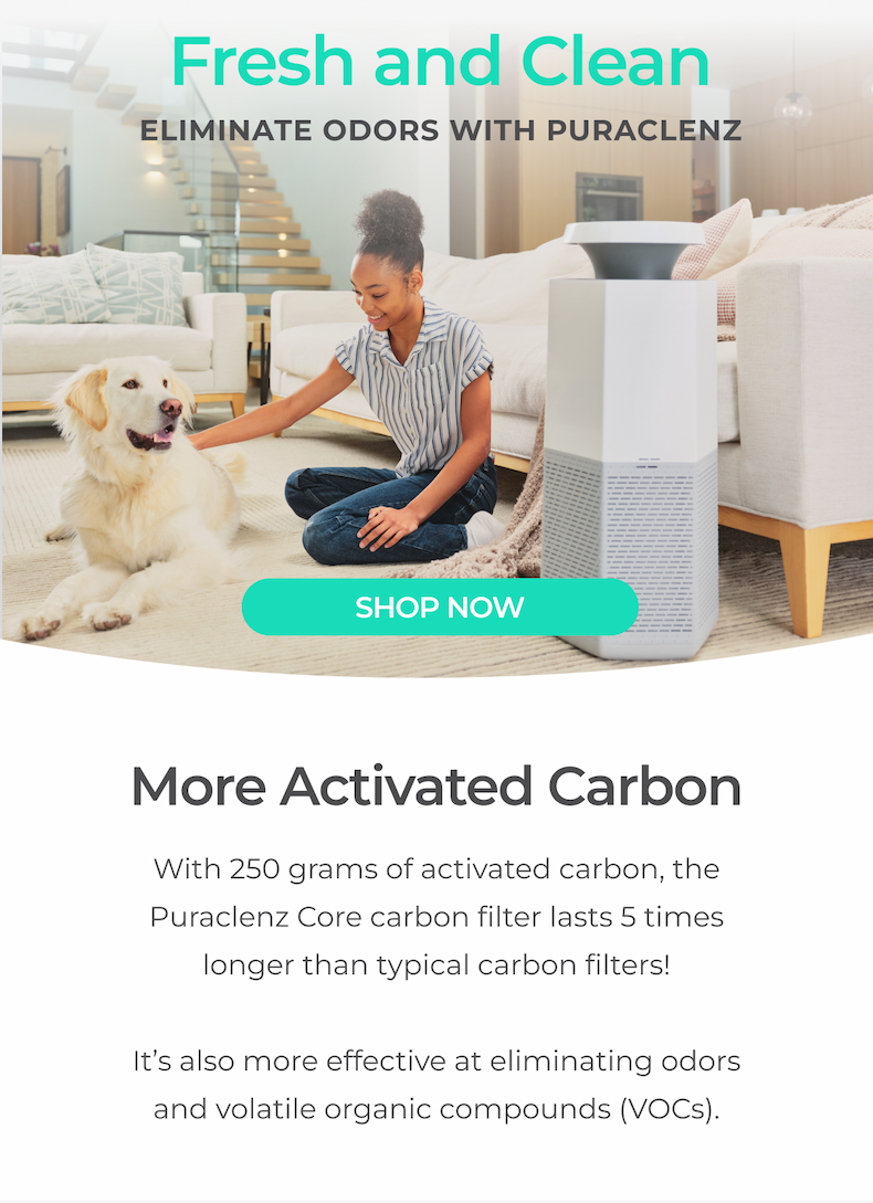 Puraclenz Core has more Activated Carbon to eliminate odors better.