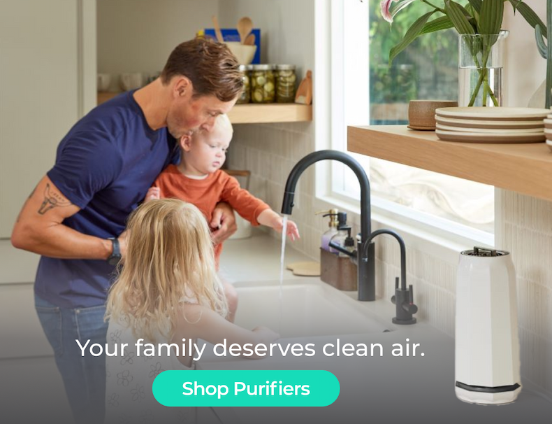 Shop Purifiers for Clean Air for Your Family