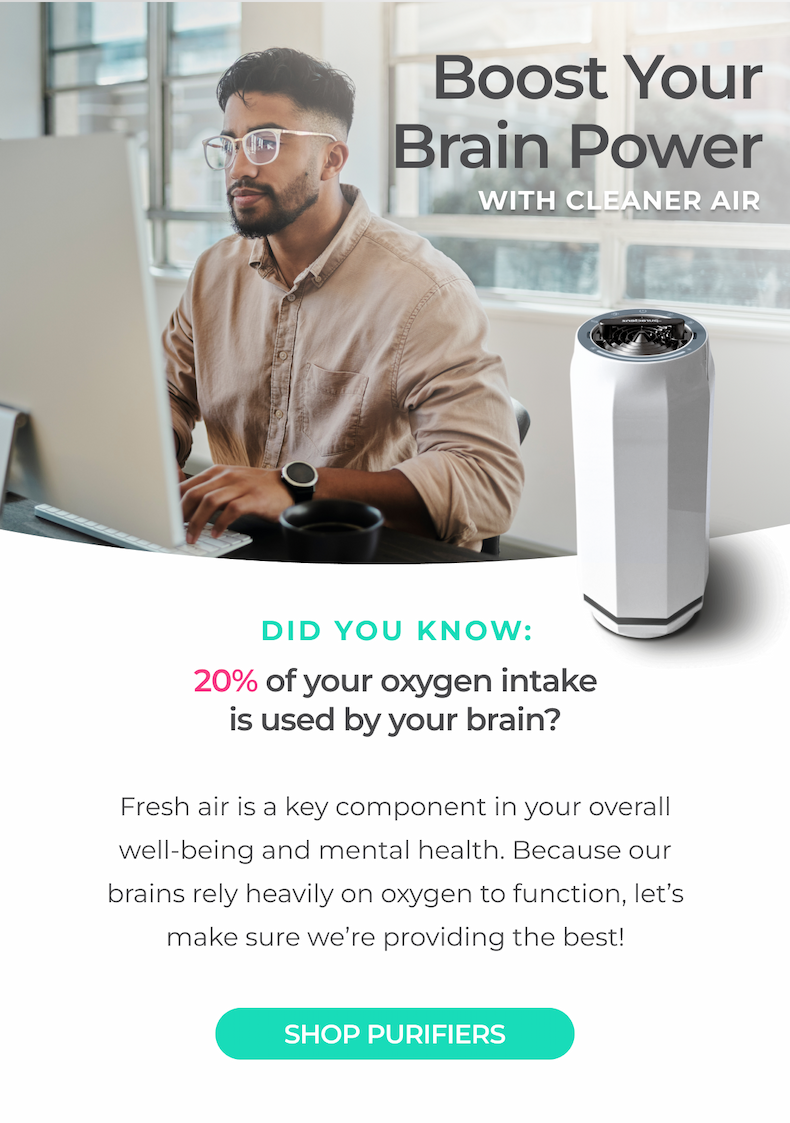 Boost your Brain with Better Air