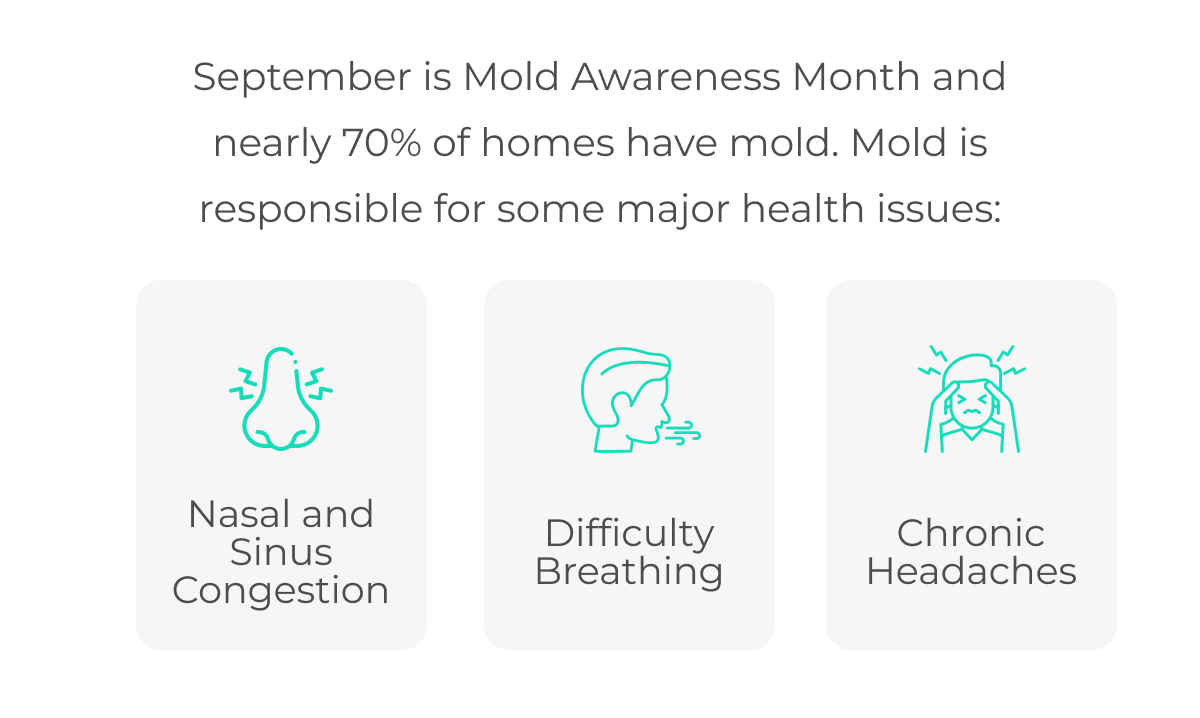 Mold Awareness Month - mold is responsible for major health issues.