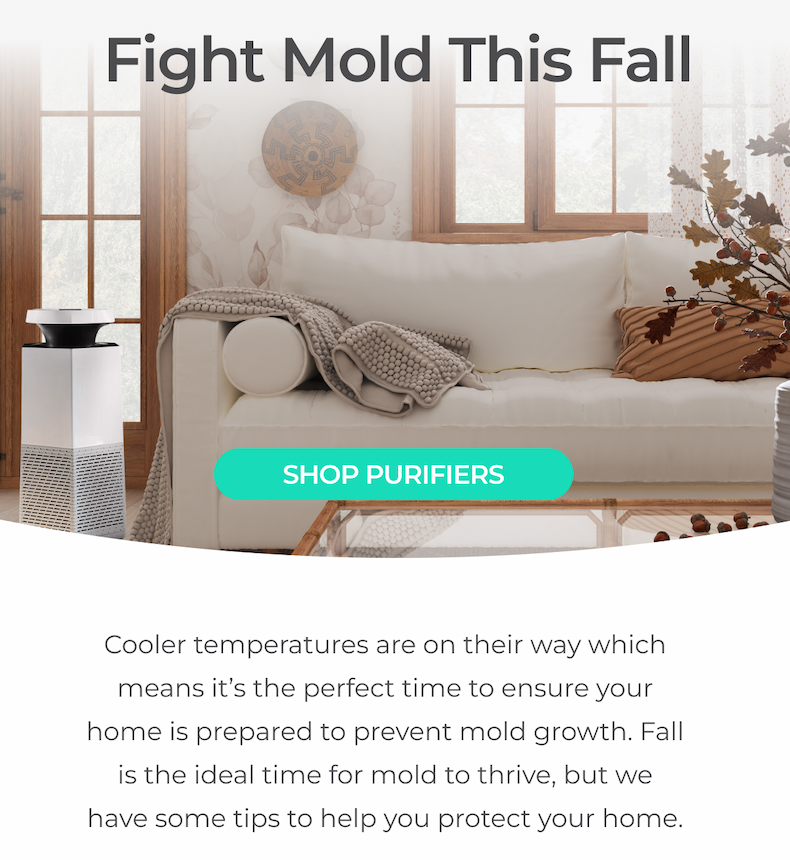 Fight Mold this Fall with Puraclenz