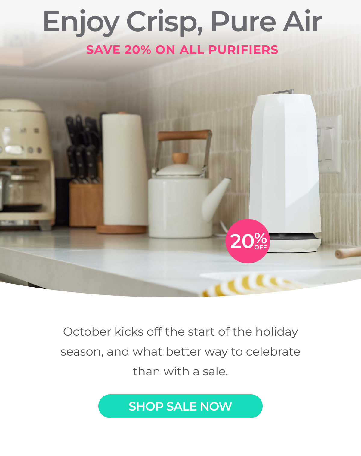 Prime Sale - 20% Off All Purifiers