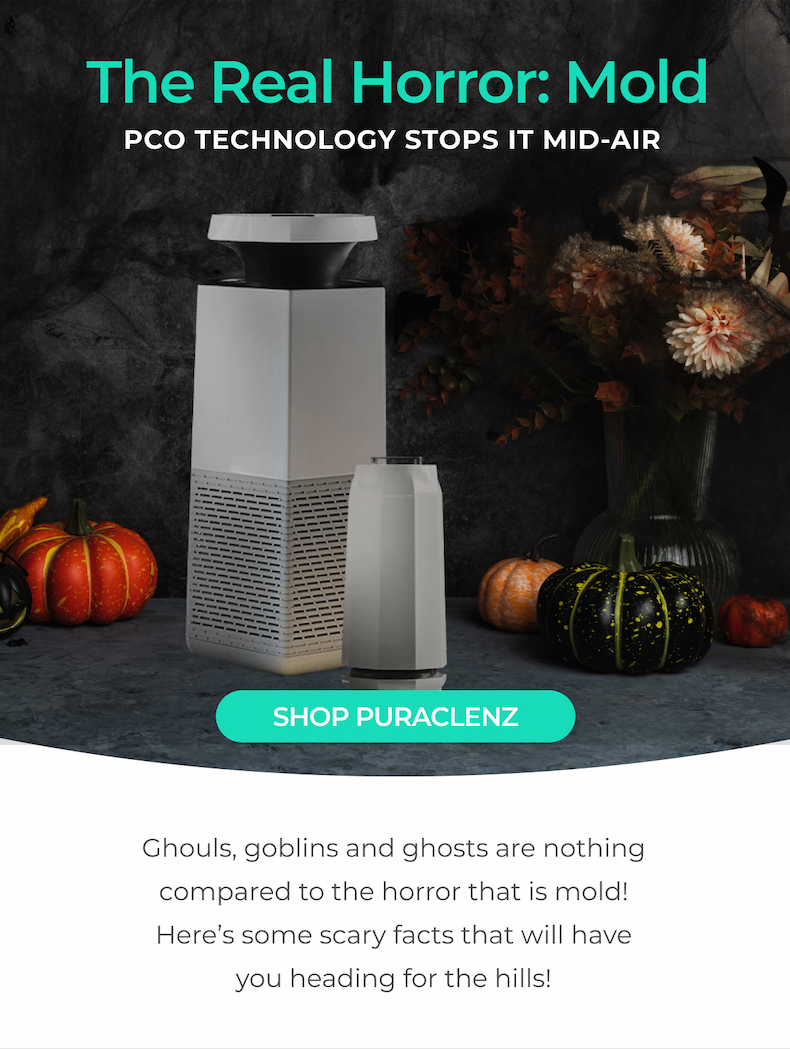 The Real Horror is Mold and Puraclenz PCO Technology Stops It