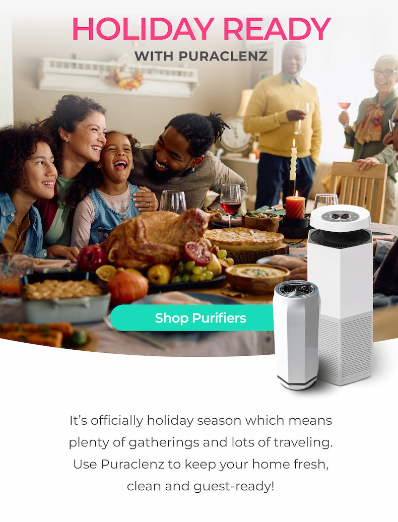 Enjoy the Holiday Season with Fresh Air from Puraclenz