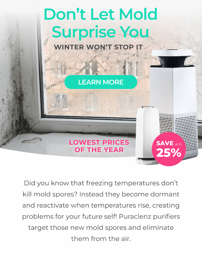 Winter doesn't stop mold, but Puraclenz can!