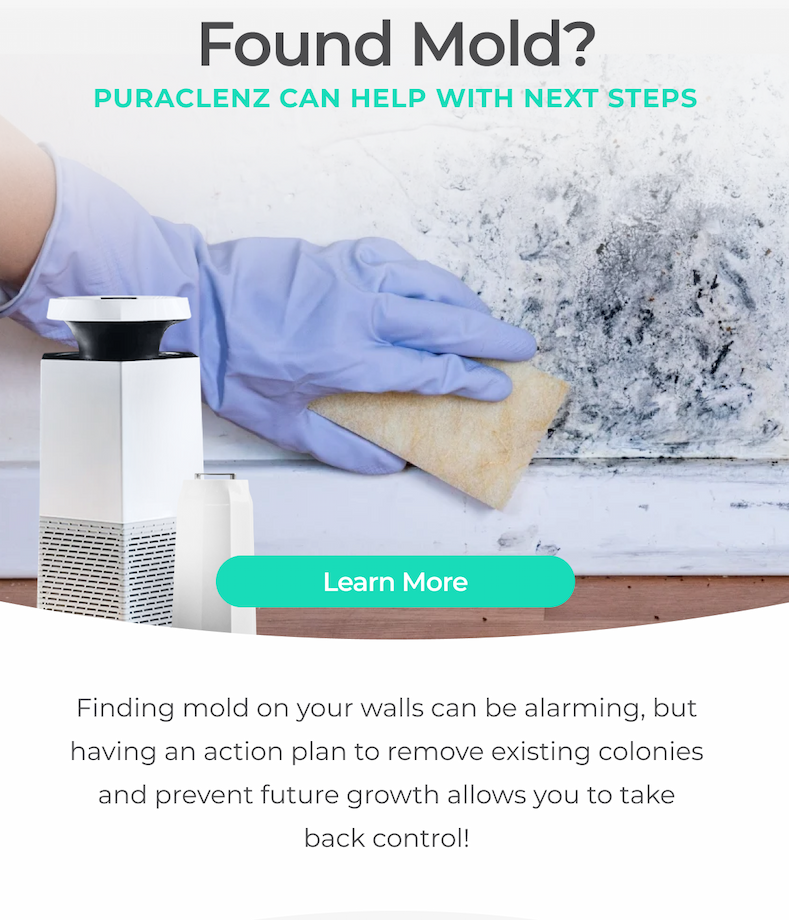 If you found mold in your home, Puraclenz can help you with the next steps.