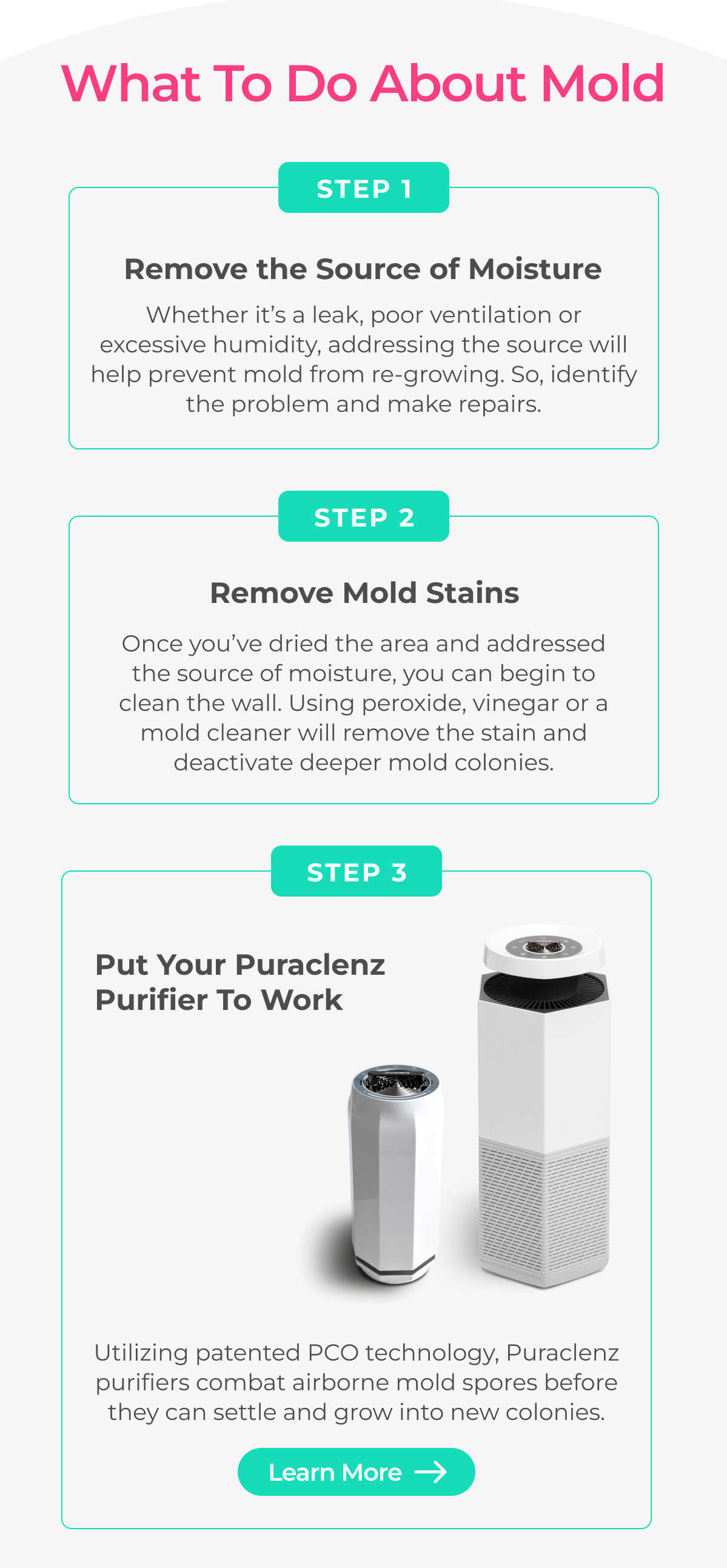What to do about mold? 1. Remove source of moisture. 2. Remove mold stains and colonies. 3. Put Puraclenz to work to prevent regrowth.