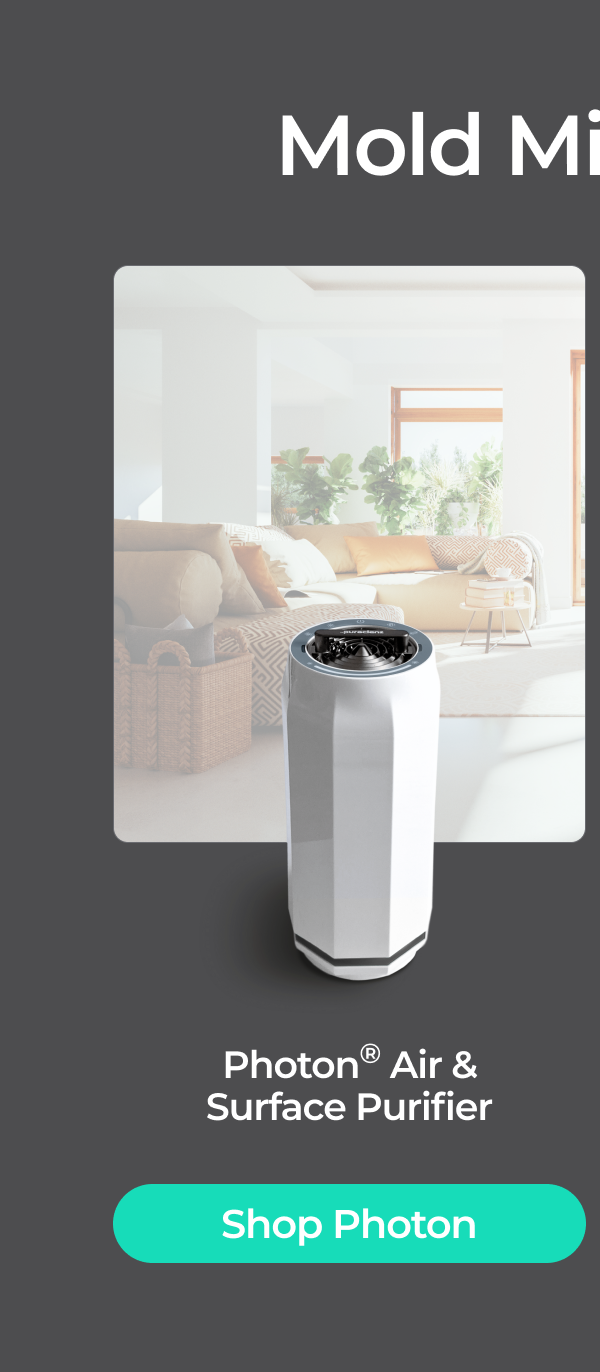 Mold Mitigator: Puraclenz Photon Air & Surface Purifier