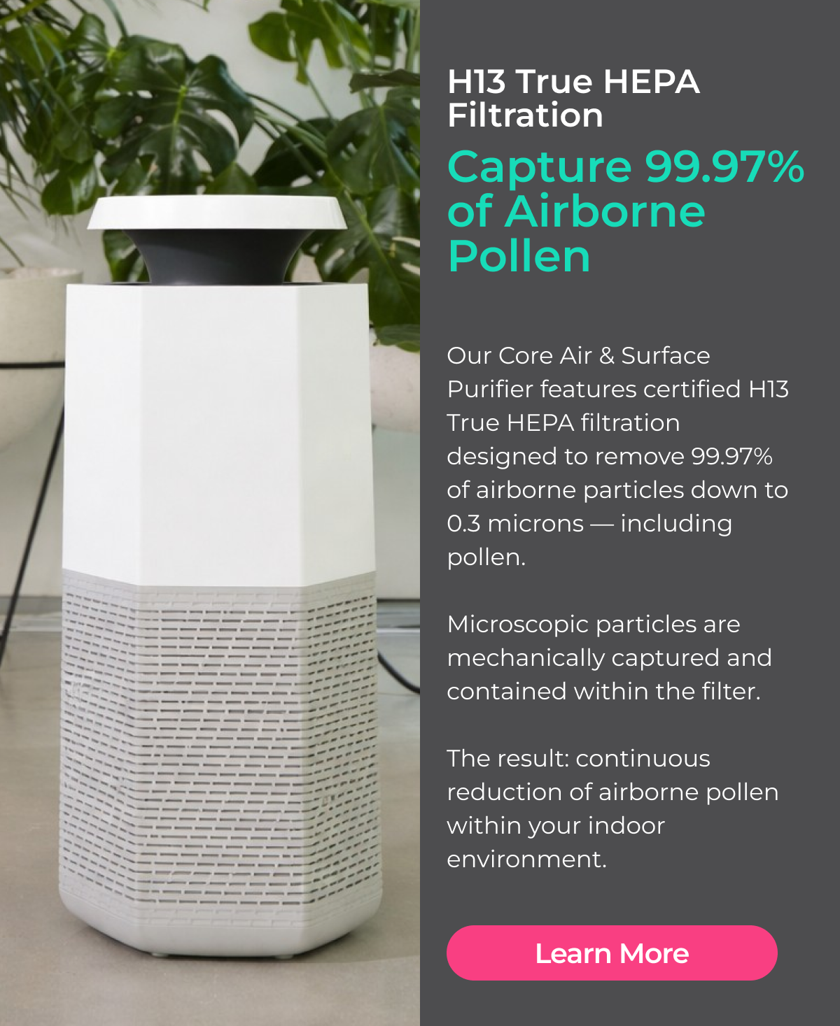 Air purifiers for allergies.