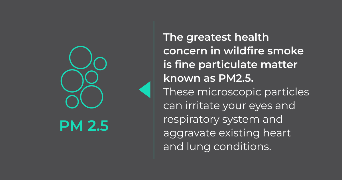 PM2.5 Health Concerns