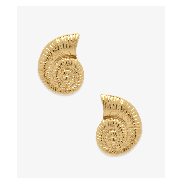 Seashell Stud Earrings
