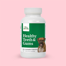 20% off* Healthy Teeth & Gums - 60 Chewable Tablets by Terry Naturally Animal Health. Code: TERRY20.