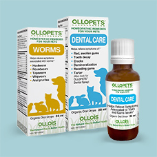 10% off* all Ollopets products. Code: OLLOP10.