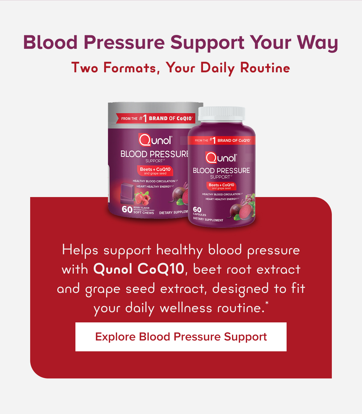 Explore Blood Pressure Support