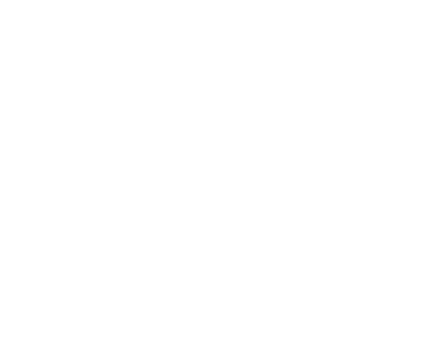 Bank of America 400, NASCAR Cup Series