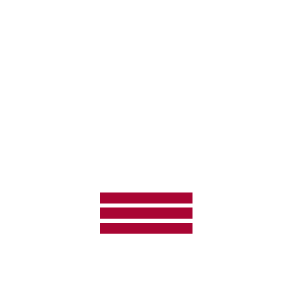 NASCAR Fan Zone Icon