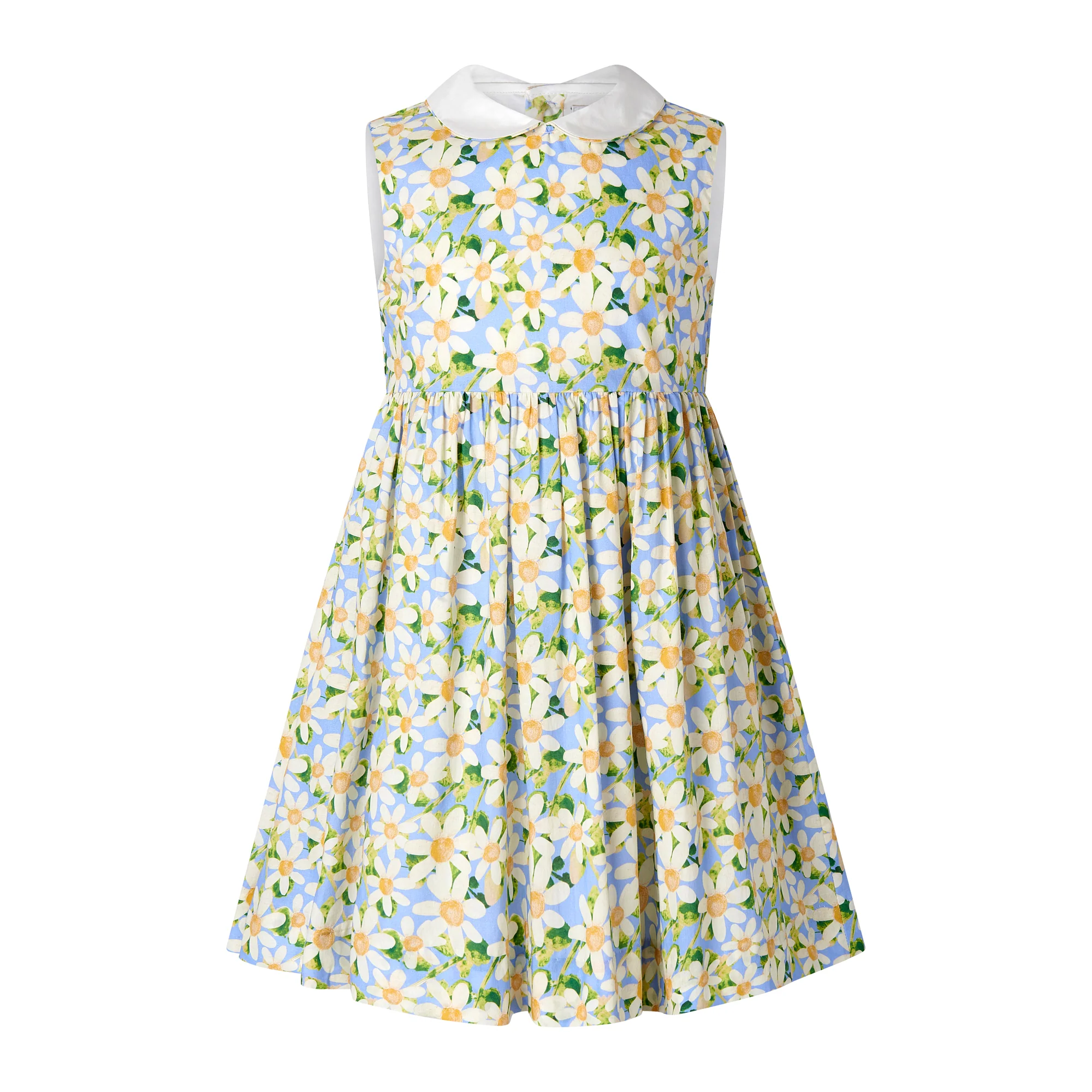 Daisy Peter Pan Collar Dress