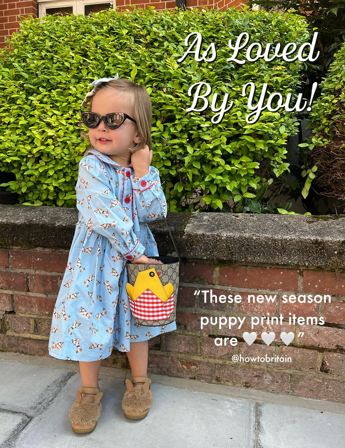 Puppy BF Dress