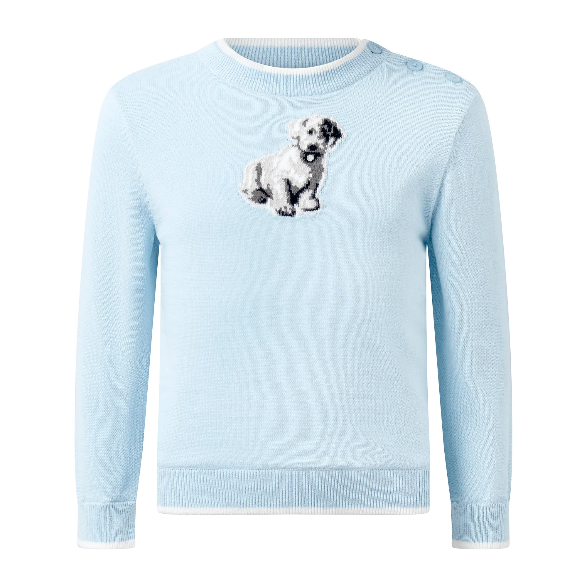 Puppy Sweater