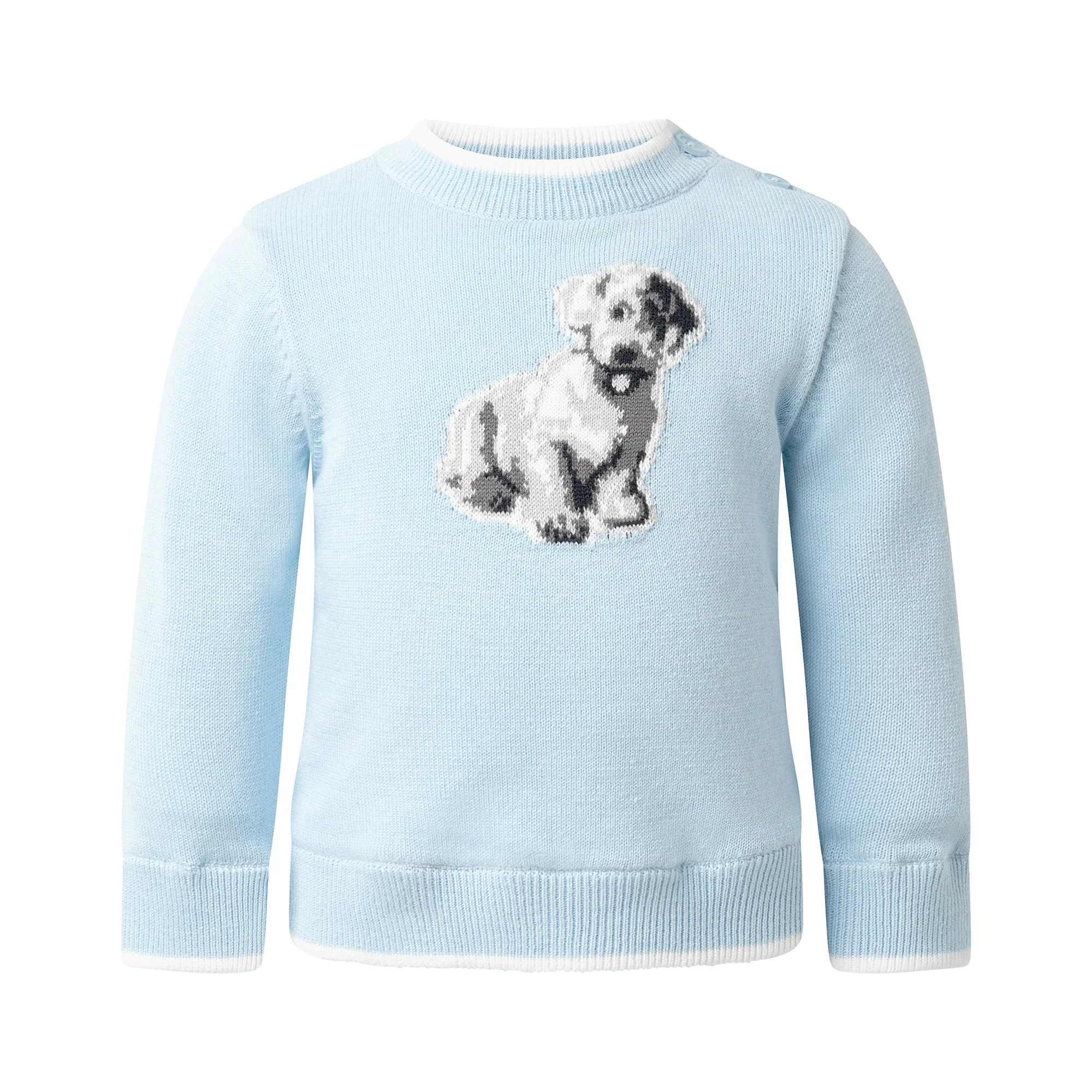 Puppy Sweater