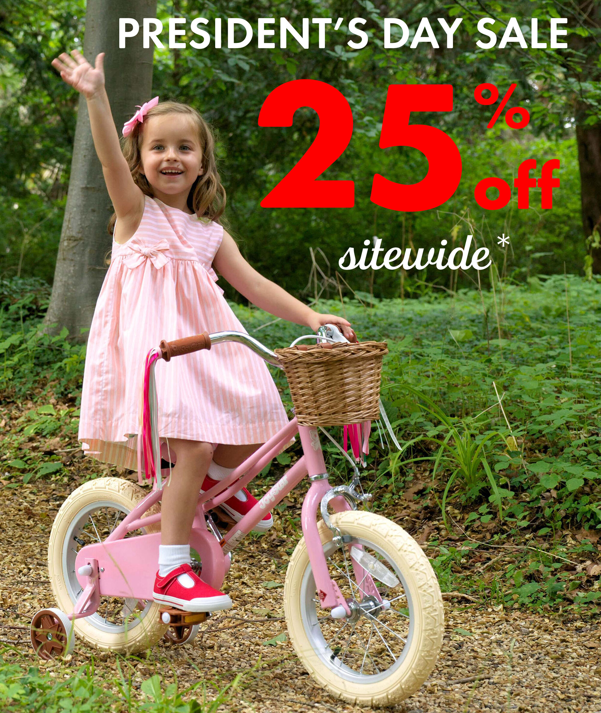 Presidents Day Sale