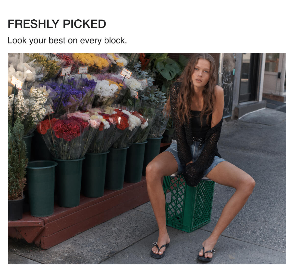Freshly Picked