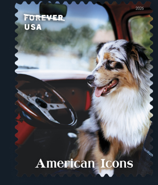 American Icons American Icons