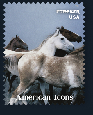 American Icons