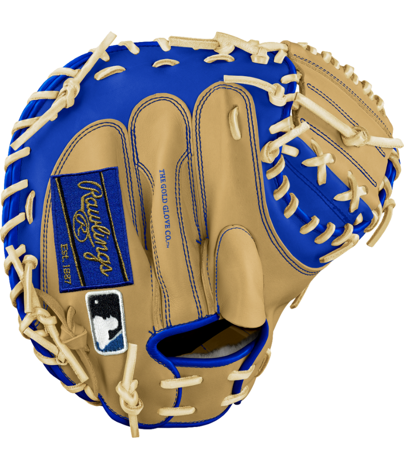 Custom Catchers Mitt