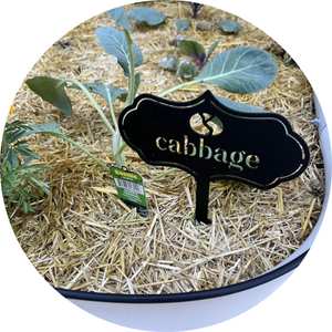 Seed & Plant Markers