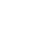 RealSteel