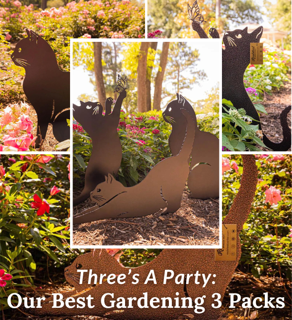 Three’s A Party
