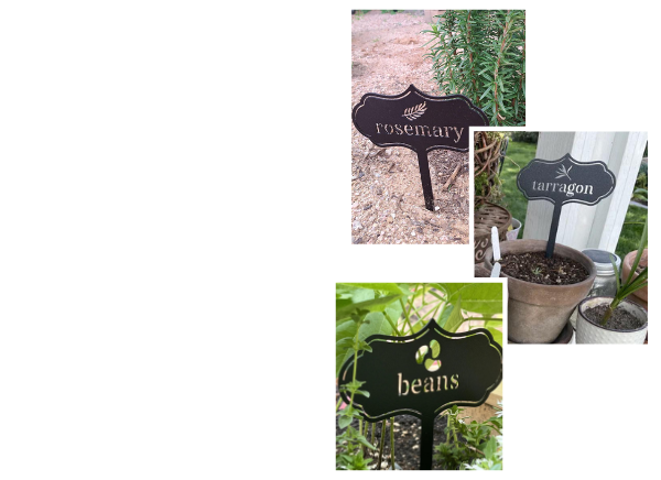 Seed & Plant Markers