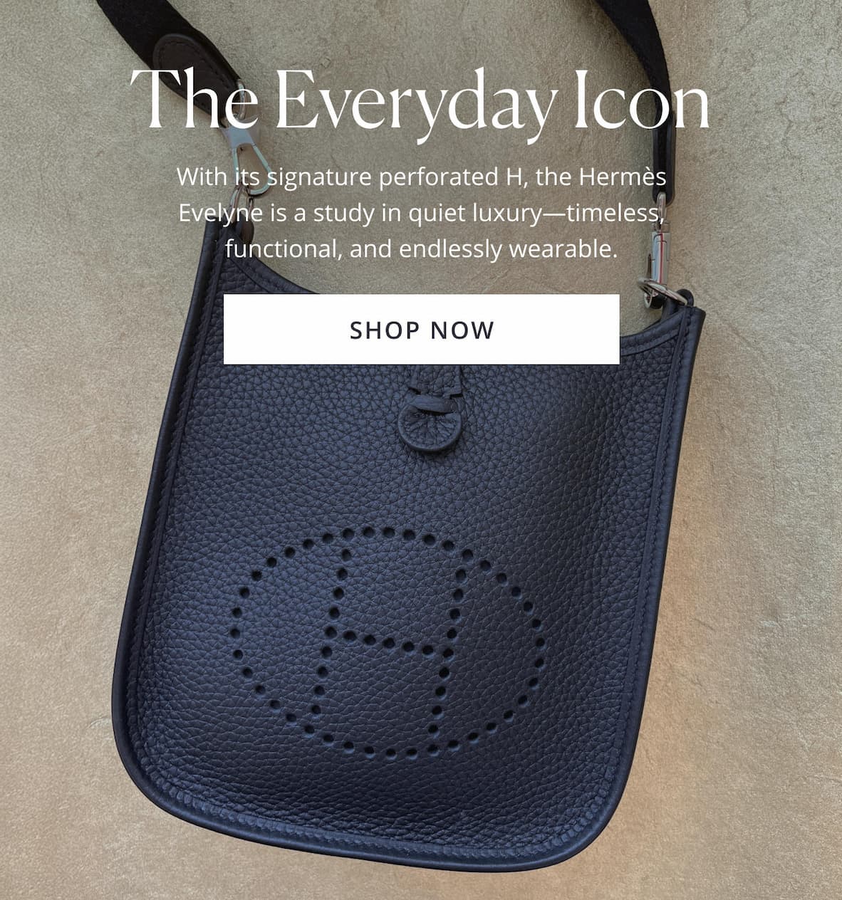 The Everyday Icon
