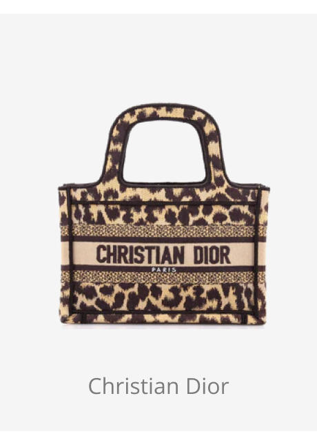 Dior mini book tote