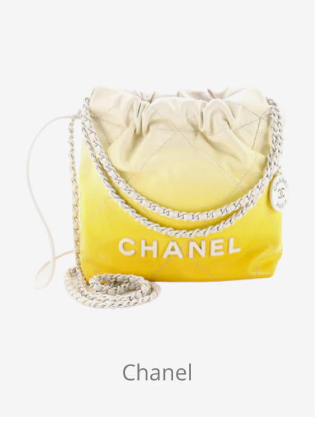 Chanel 22 chain hobo
