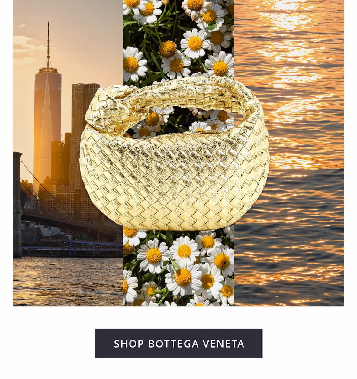 SHOP BOTTEGA VENETA