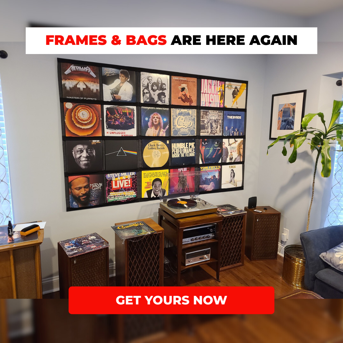 FRAMES & BAGS ARE HERE AGAIN - GET YOURS NOW