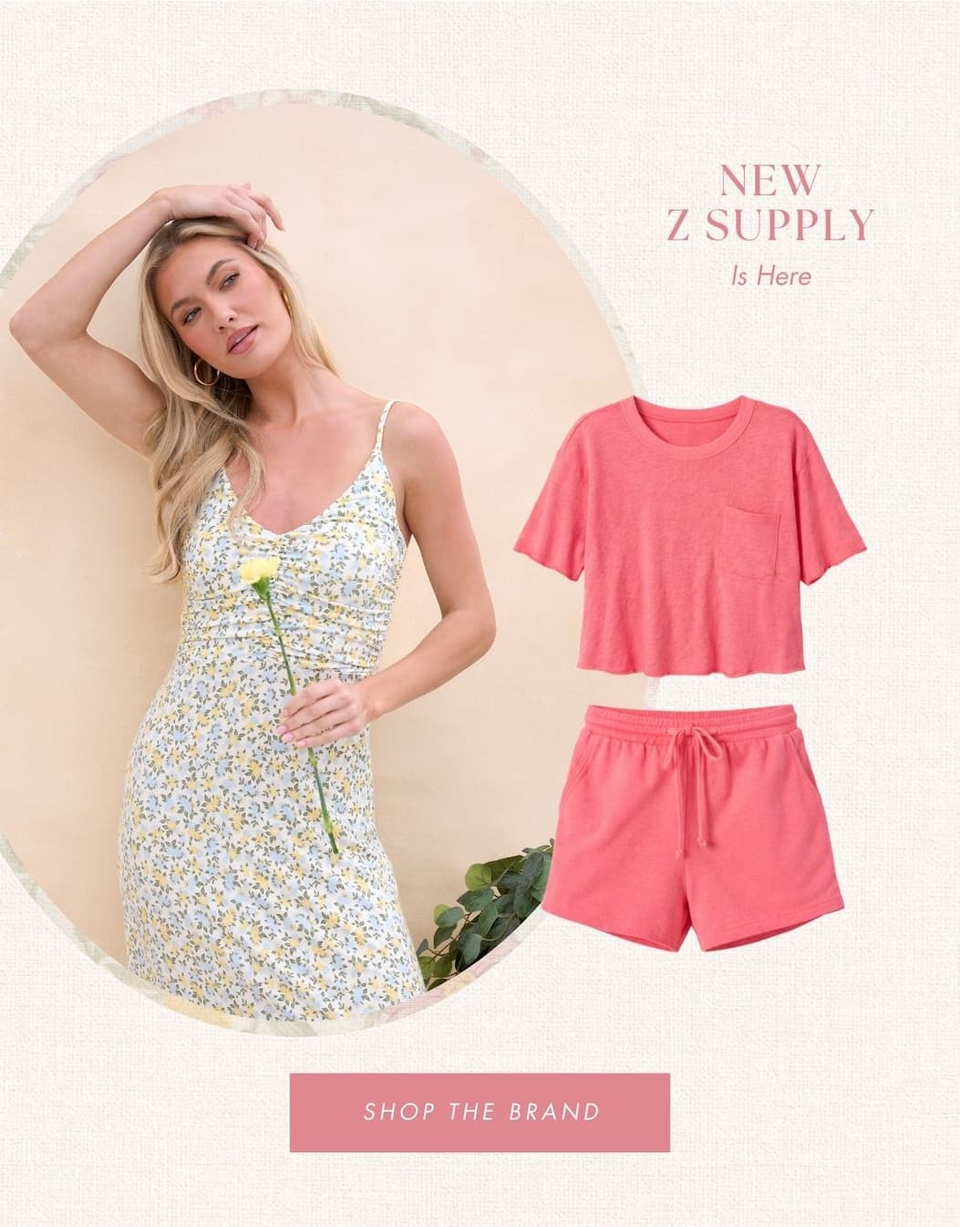 New Z Supply Is Here. Shop the Brand.